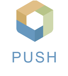PUSH Logo